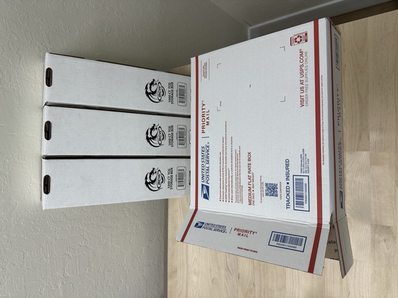 Three BCW 1000-count storage boxes standing next to a USPS Medium Flat Rate box for scale